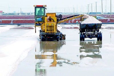 昔日鹽堿灘，今日聚寶盆 漁業機械化繪就生態富民新圖景